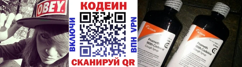 купить закладку  Алзамай  Кодеин Purple Drank 